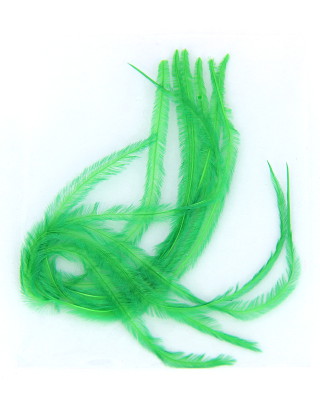 Plumes fines, coloris vert