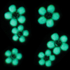 Stickers ongles phosphorescents "Fleurs 1"